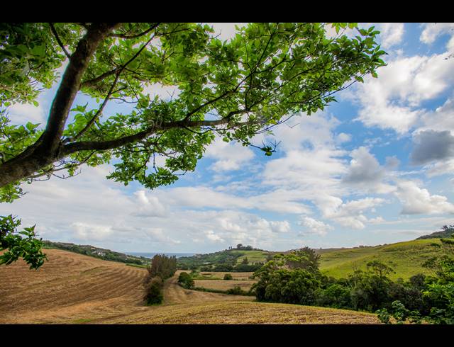 3 BEDROOM HOUSE FOR SALE IN ZULULAMI LUXURY COASTAL ESTATE